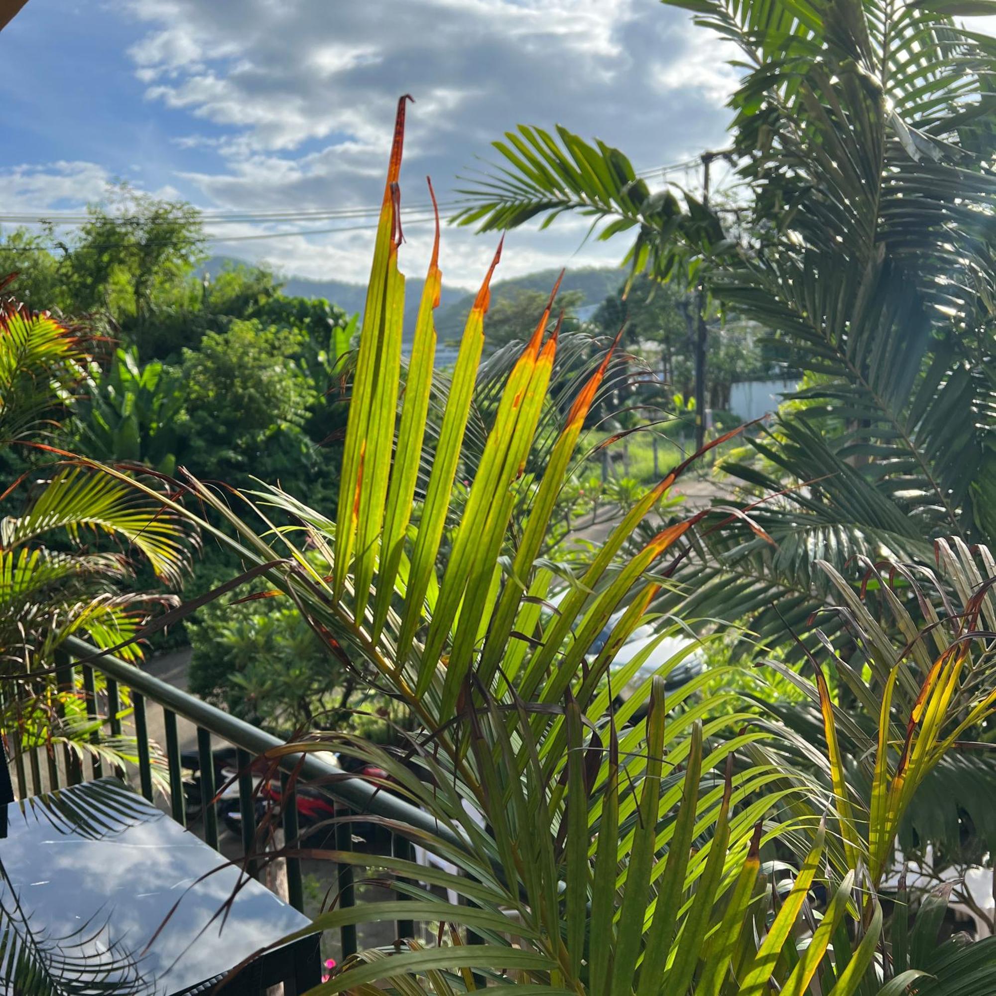 Kata Villa Merit Hill Bungalows Karon Luaran gambar