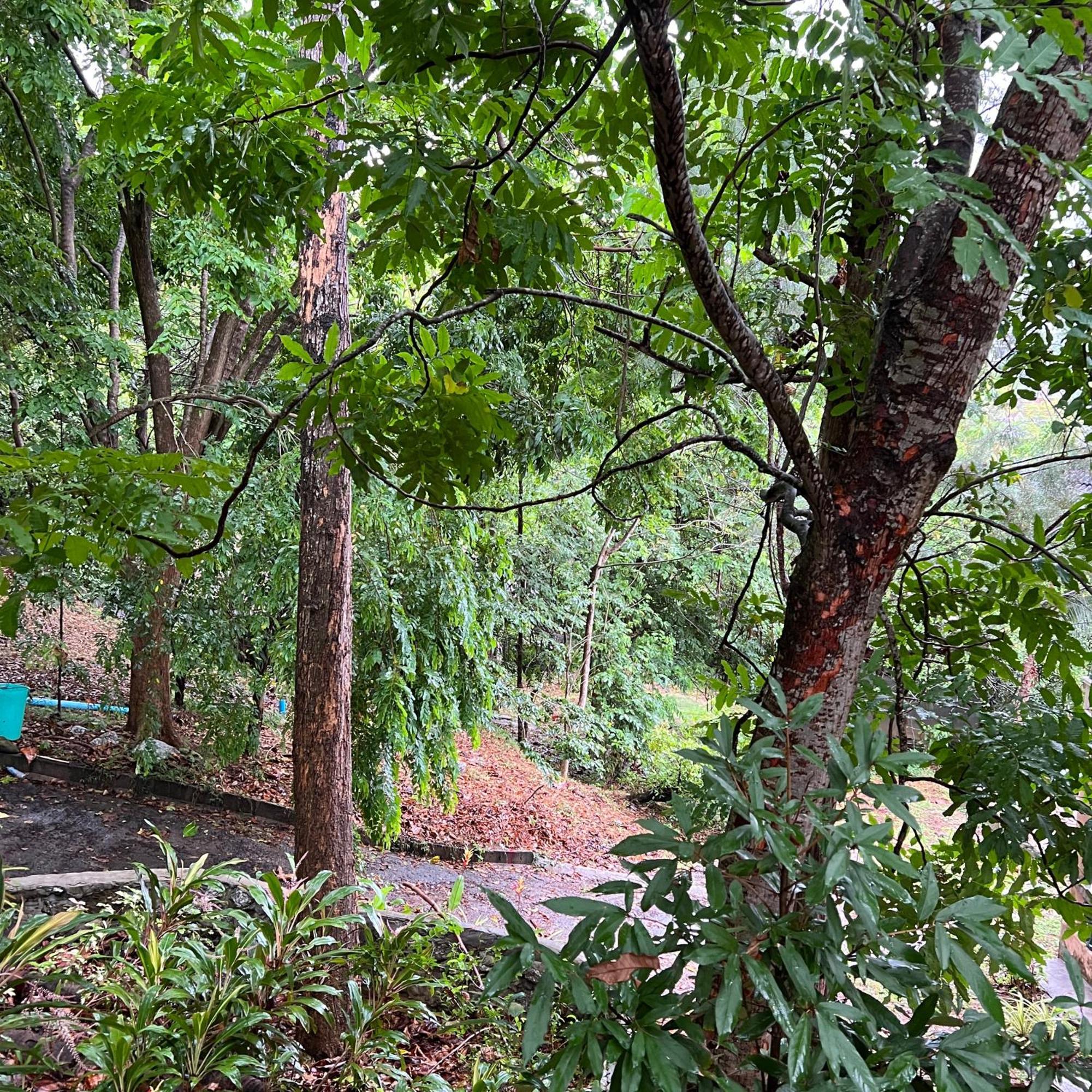 Kata Villa Merit Hill Bungalows Karon Luaran gambar